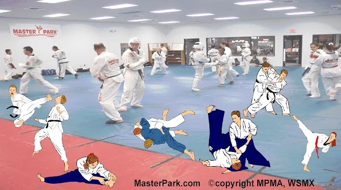 Master Park Oriental Martial Arts Center Picture 10