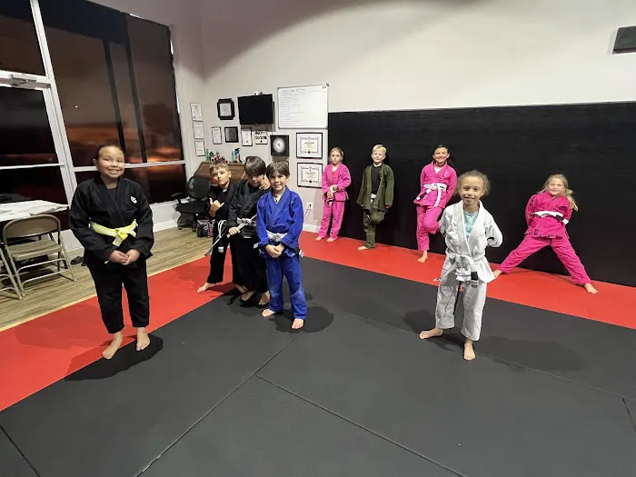 Andrew Pardee Brazilian Jiu-Jitsu Academy Picture 4