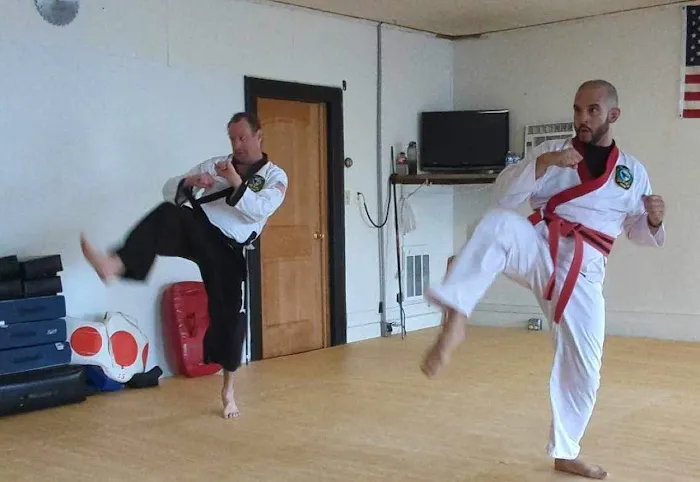 Hall's Martial Arts Academy Picture 7