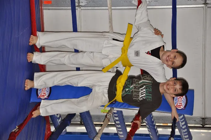 Next Level Martial Arts Academy Picture 3