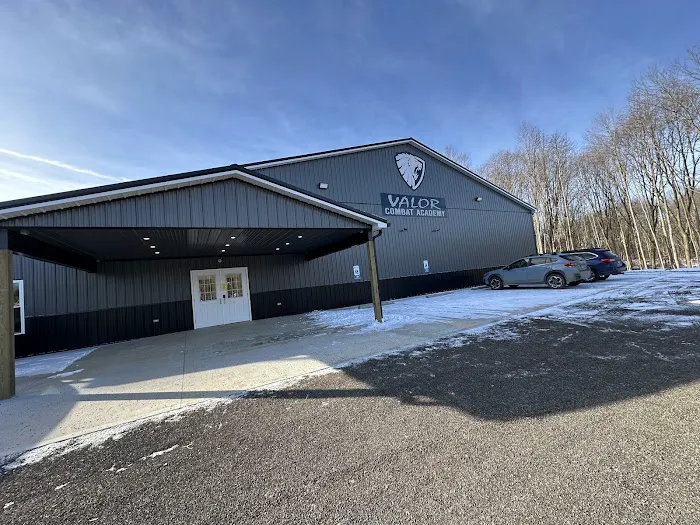 Valor Combat Academy - Krav Maga Picture 2