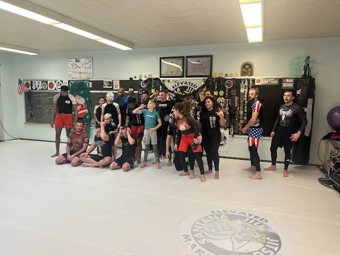 Elevated Martial Arts Picture 10