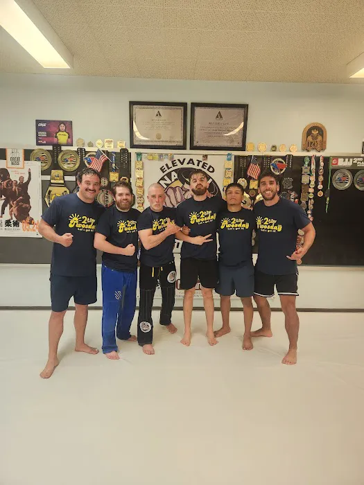 Elevated Martial Arts Picture 8