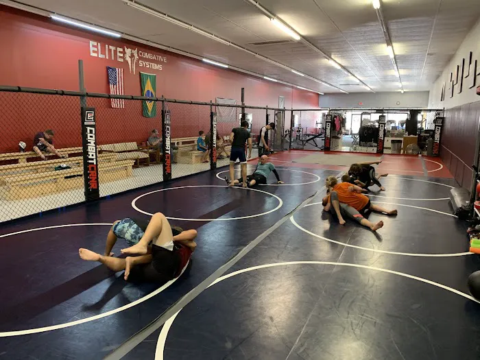Elite Combative Systems Picture 10