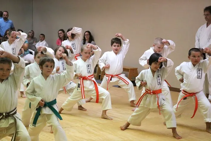 Joe Goss Karate Picture 8