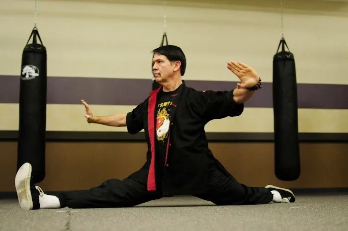 Coiling Dragon Chinese Kung Fu Picture 4