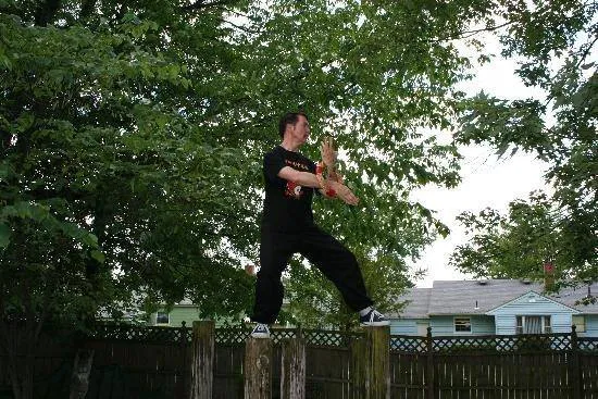 Coiling Dragon Chinese Kung Fu Picture 7