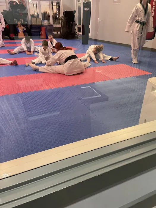 Olympic Tae Kwon Do Academy Picture 1
