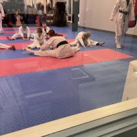 Olympic Tae Kwon Do Academy ico