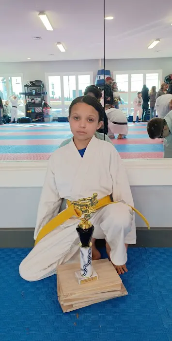 Olympic Tae Kwon Do Academy Picture 2