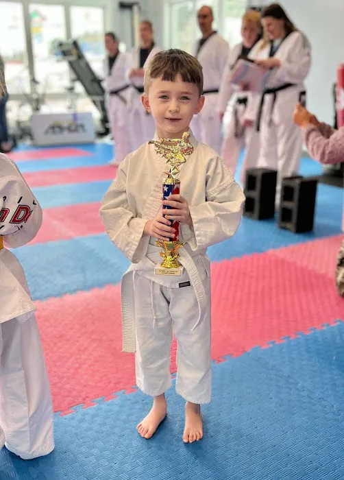 Olympic Tae Kwon Do Academy Picture 3