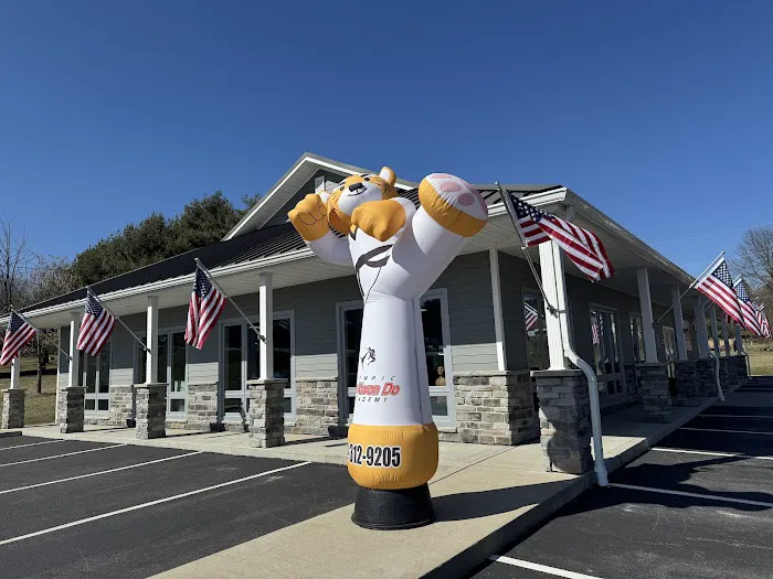 Olympic Tae Kwon Do Academy Picture 8