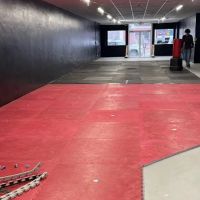 Red Dragon Hybrid Tae Kwon Do ico