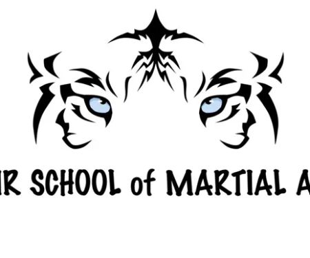 Blair School of Martial Arts LLC