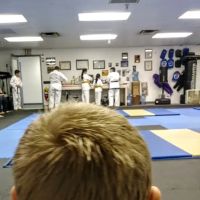 ALTOONA TANG SOO DO ico