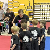 Pennsylvania Martial Arts Alliance ico