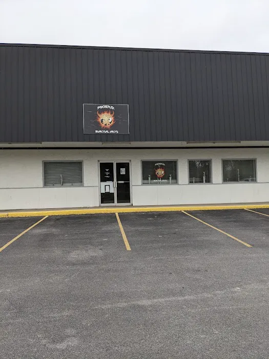 Phoenix Martial Arts Picture 1