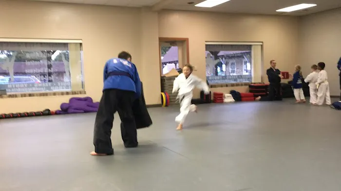 Lund Martial Arts Academy: Millcreek Picture 3