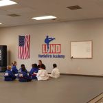 Lund Martial Arts Academy: Millcreek