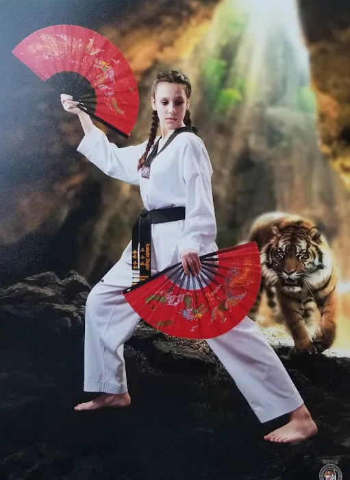Park's Taekwondo Academy Picture 3