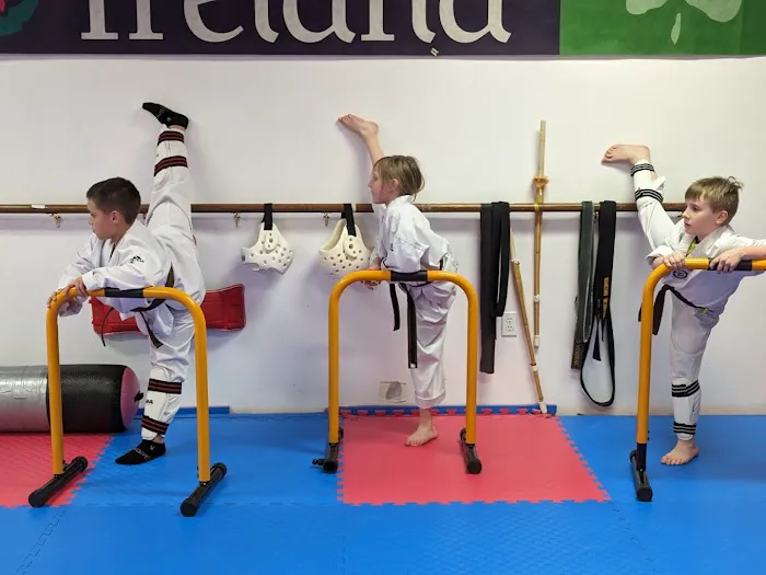 Mancino Academy Martial Arts Picture 4