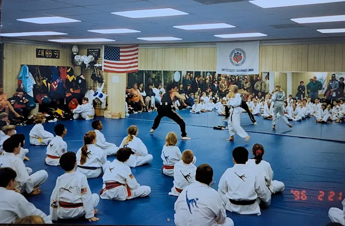 Mancino Academy Martial Arts Picture 6