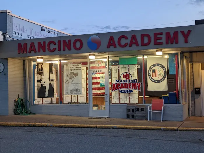 Mancino Academy Martial Arts Picture 9