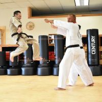 Millcreek Karate ico