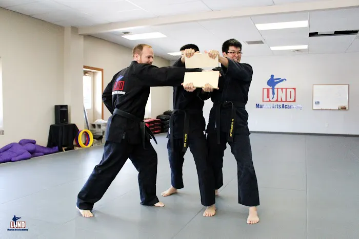 Lund Martial Arts Academy: Harborcreek Picture 4