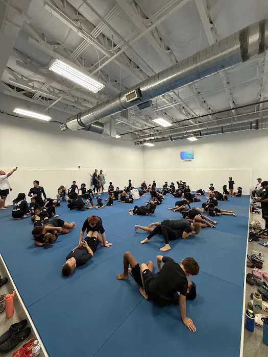 Atos Jiu-Jitsu Beaumont, CA Picture 9