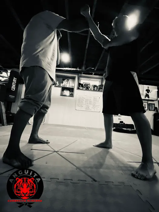 Anguita Combative Academy Picture 1