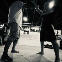 Anguita Combative Academy ico