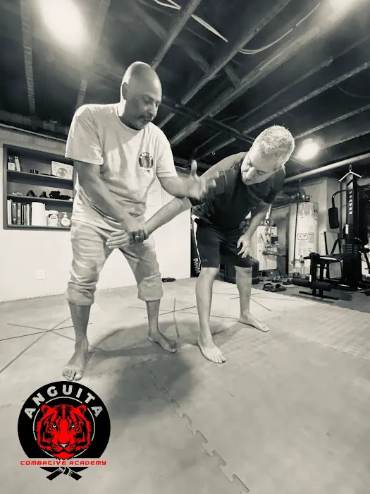 Anguita Combative Academy Picture 7