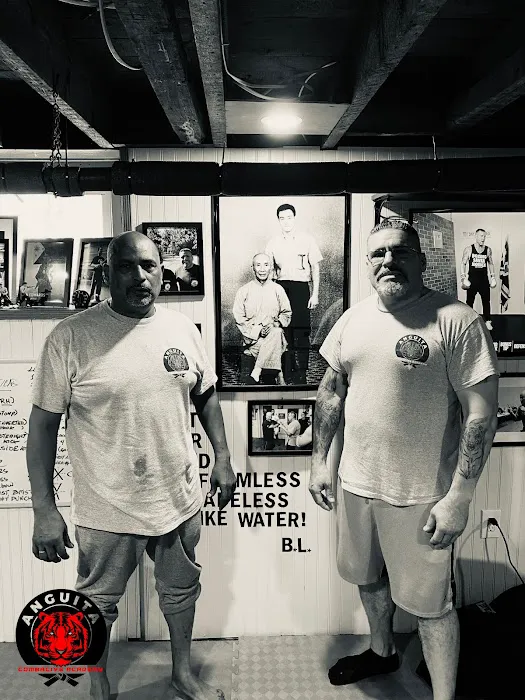 Anguita Combative Academy Picture 8