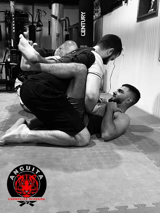 Anguita Combative Academy Picture 3