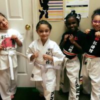 Warriors Dojo ico