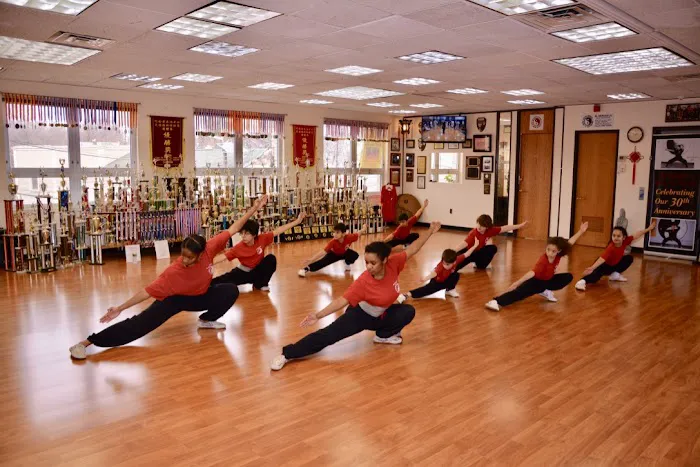 Al Bender's Kung Fu Academy Picture 2