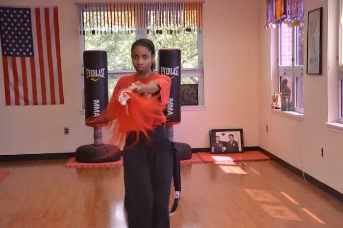 Al Bender's Kung Fu Academy Picture 8