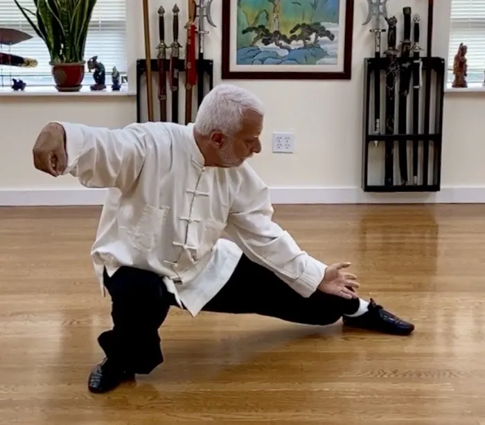 Chinese Internal Martial Arts Center Of Scarsdale Picture 2