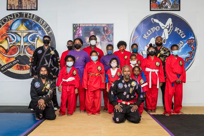 Beyond the Belt Martial Arts Academy Picture 7