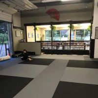ZenDo Ju-Jitsu ico