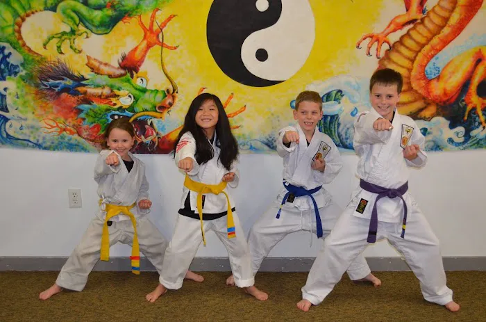Vermont Martial Arts Academy Picture 9