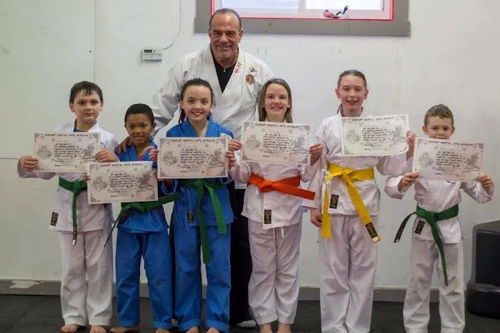 Vermont Martial Arts Academy Picture 6