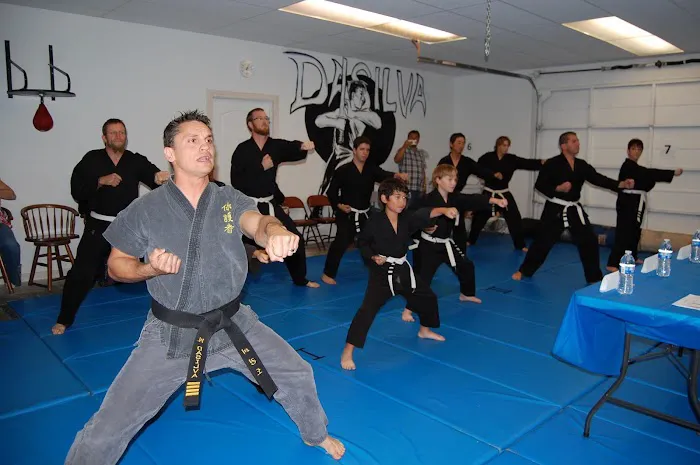 DaSilva's Karate Picture 1