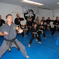 DaSilva's Karate ico
