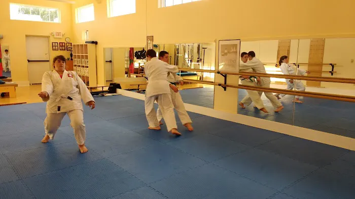 Aikido Yoshokai - Vermont Picture 4