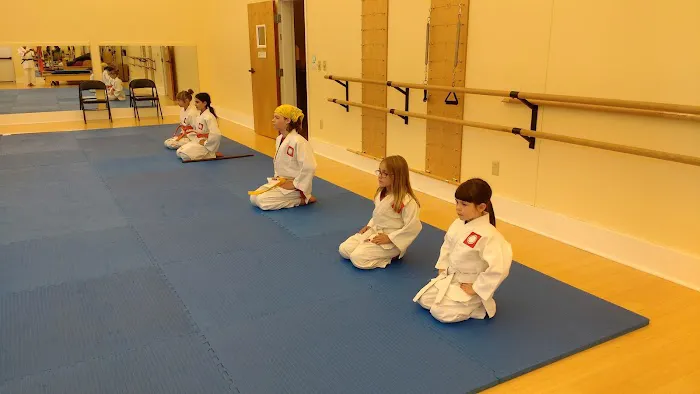 Aikido Yoshokai - Vermont Picture 2