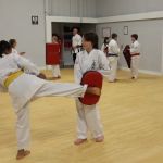 White Mountain Karate