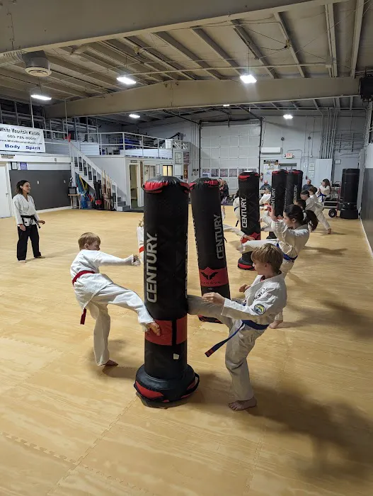White Mountain Karate Picture 8