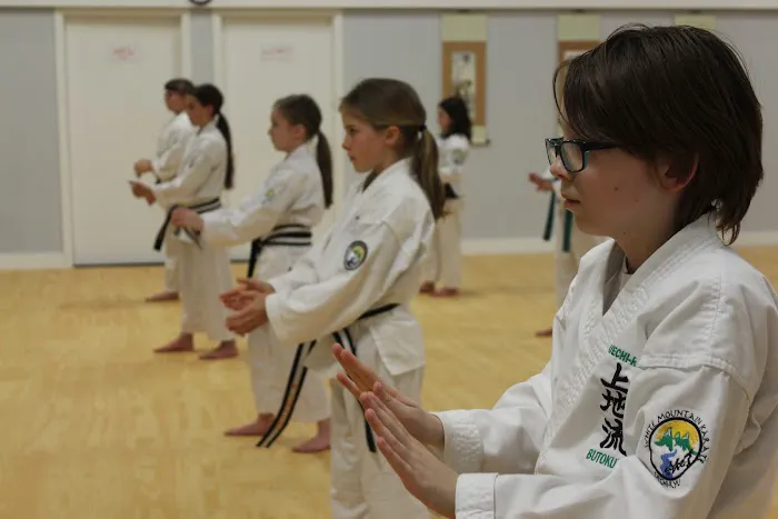 White Mountain Karate Picture 5